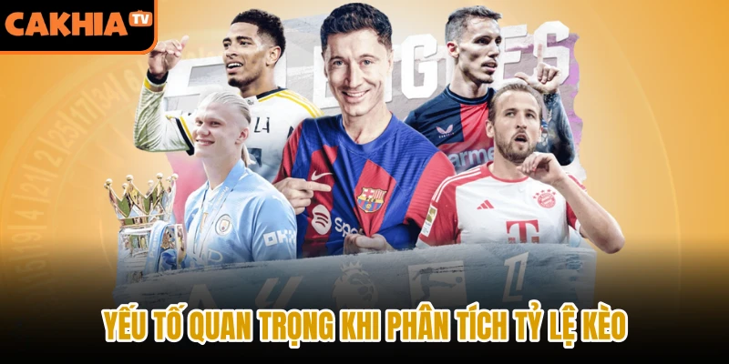 Yếu tố quan trọng khi phân tích tỷ lệ kèo